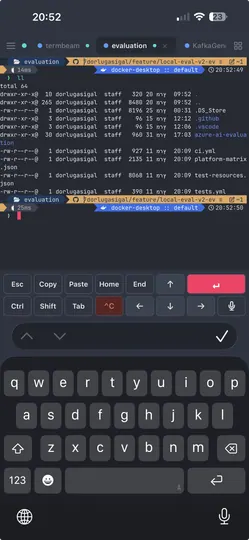 Screenshot of TermBeam