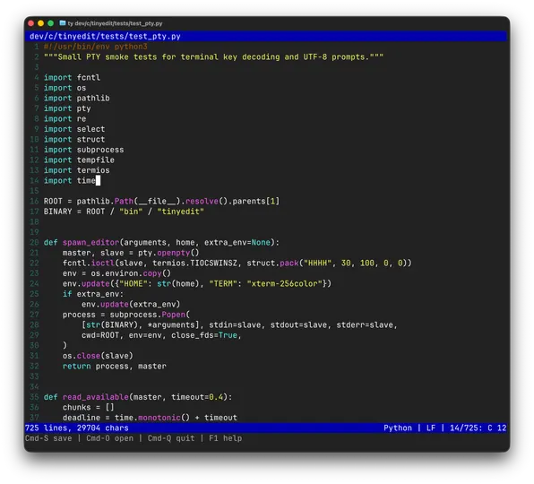 Screenshot of TinyEdit