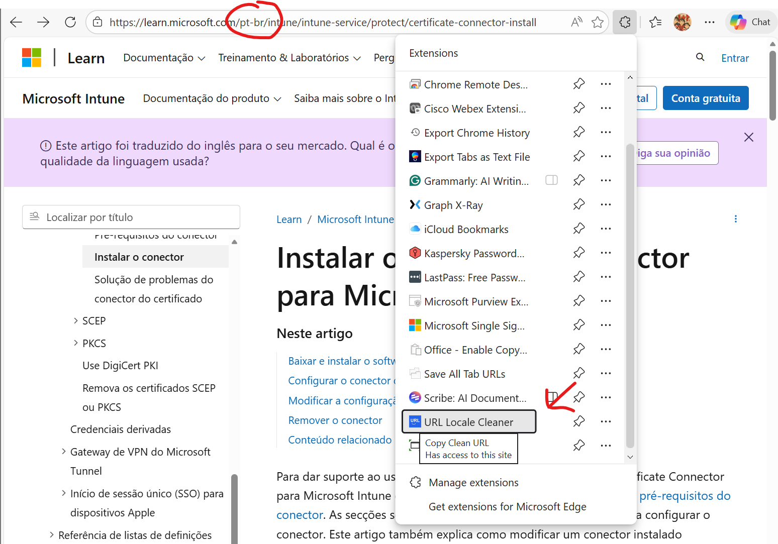 Screenshot of URL Clipboard Language Cleaner Browser Extension