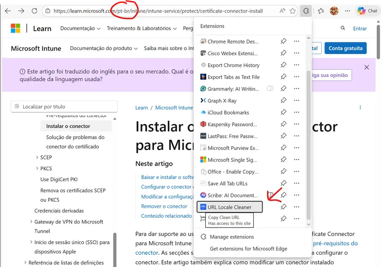 Screenshot of URL Clipboard Language Cleaner Browser Extension